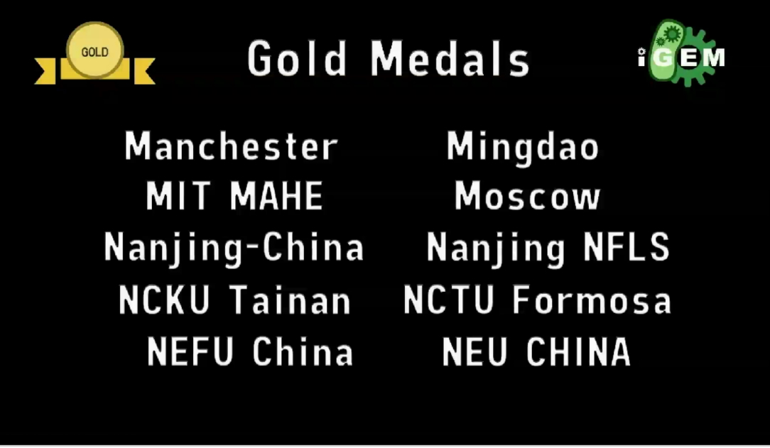 获奖名单 获奖名单